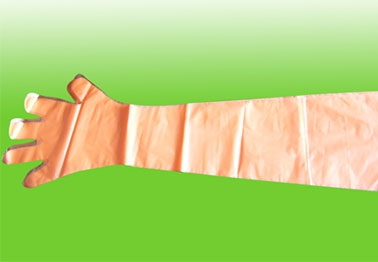 太倉(cāng)食品級(jí)一次性長(zhǎng)手套